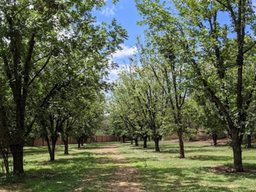 TERRENO RESIDENCIAL CAMPESTRE DE OPORTUNIDAD ! A 10 MIN DE GUANAJUATO CAPITAL