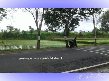 Tanah di Jl. Raya Krasan, Badung cocok untuk resort