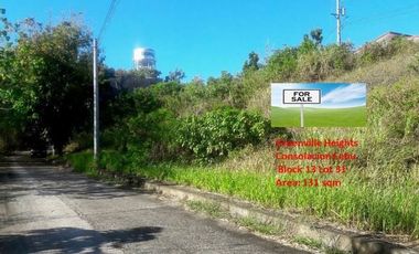 Elevated 262 Sqm Ready for Building Lot for Sale in Upper Casili Consolacion Cebu