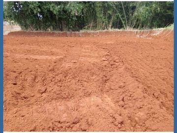 Launching: Hanya 800 Ribu-an di Sedayu Bantul