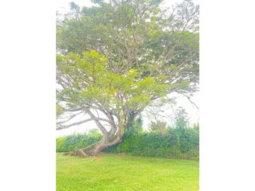 Casa Campestre Amoblada en Renta Uniminuto - Pereira