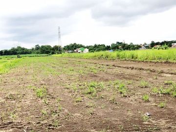 Tanah Murah Di Tegal Adiwerna, SHM