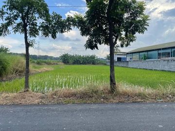 Dijual Tanah JL Desa Kesamben Wetan, cocok buat gudang, industri, Driyorejo, Surabaya Barat