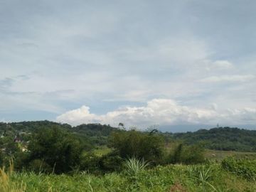 Rumah Asri Minimalis di Purwakarta Strategis Dekat Pusat Kota