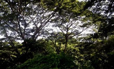 Affordable 150 Sqm Residential Lot for Sale in Greenwoods near Talamban Cebu City