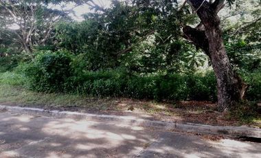 Affordable 150 Sqm Residential Lot for Sale in Greenwoods near Talamban Cebu City
