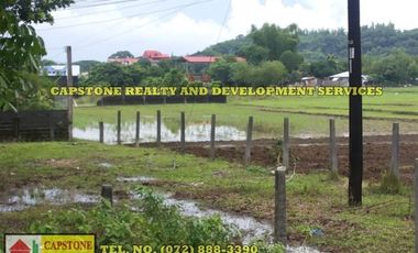 1196 sqm Residential Property Titled Property in Bacnotan, La Union
