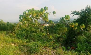 Overlooking 150 Sqm Lot for Sale in Vista Grande Talisay Cebu City with Seaview