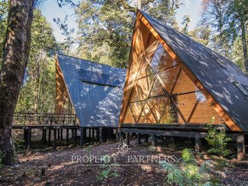 Casa en el bosque Huilo Huilo