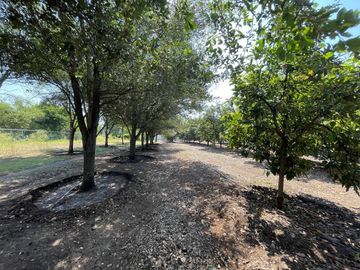 QUINTA EN VENTA EN SAN MATEO. JUAREZ, NL.