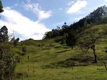 finca en venta en genova. Cod V407830