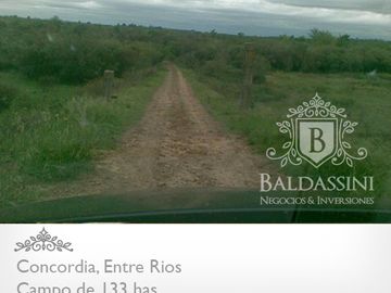CAMPO DE 133 HAS. EN CONCORDIA - ENTRADA POR ASFALTO - CERCA DE LA CIUDAD - LINDERO AL RÍO YUQUERI GRANDE
