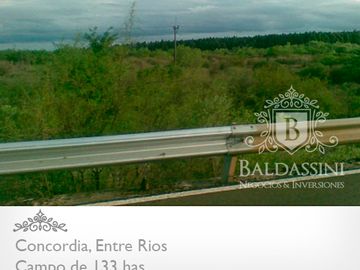 CAMPO DE 133 HAS. EN CONCORDIA - ENTRADA POR ASFALTO - CERCA DE LA CIUDAD - LINDERO AL RÍO YUQUERI GRANDE