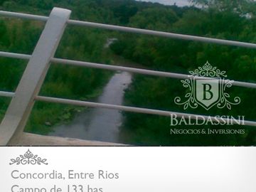 CAMPO DE 133 HAS. EN CONCORDIA - ENTRADA POR ASFALTO - CERCA DE LA CIUDAD - LINDERO AL RÍO YUQUERI GRANDE