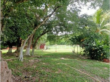 Rancho en zona oriente de 240 Hectáreas