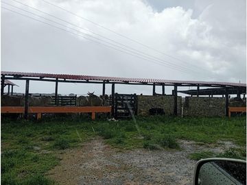 Rancho en zona oriente de 240 Hectáreas