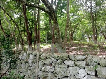 Rancho en zona oriente de 240 Hectáreas