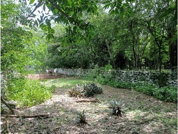 Rancho en zona oriente de 240 Hectáreas