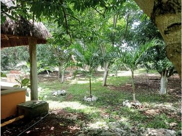 Rancho en zona oriente de 240 Hectáreas