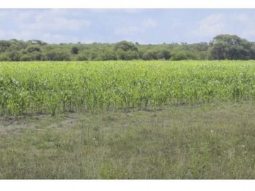 VENDO!! CAMPO MIXTO