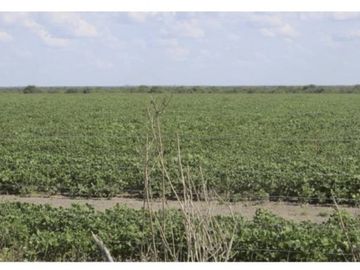 VENDO!! CAMPO MIXTO