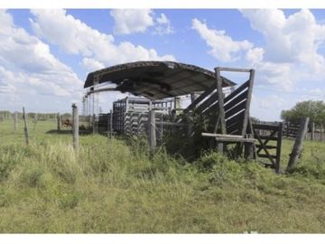 VENDO!! CAMPO MIXTO
