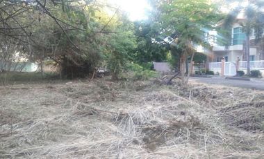 Last Remaining 172 Sqm Residential Lot for Sale in Basak Lapu-Lapu Cebu near Gaisano Grand Mall