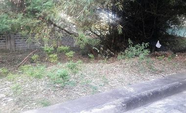 Last Remaining 172 Sqm Residential Lot for Sale in Basak Lapu-Lapu Cebu near Gaisano Grand Mall