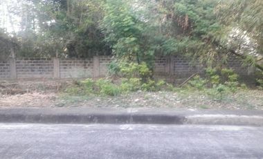 Last Remaining 172 Sqm Residential Lot for Sale in Basak Lapu-Lapu Cebu near Gaisano Grand Mall
