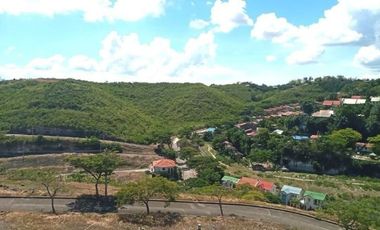 Overlooking 133 Sqm Lot for Sale in Aspen Heights Consolacion Cebu