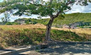 Overlooking 133 Sqm Lot for Sale in Aspen Heights Consolacion Cebu