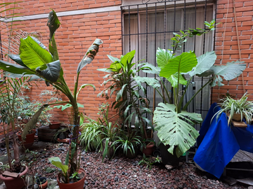 Departamento en Venta, en Lomas de Becerra.