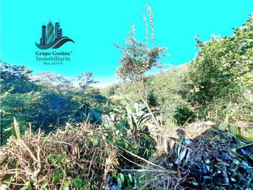 VENDO CABAÑA EN LOTE 1295 M2  CON QUEBRADA- BOQUETE