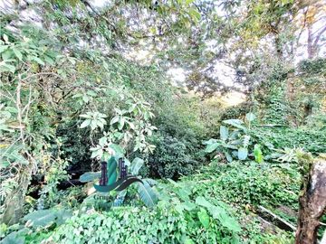 VENDO CABAÑA EN LOTE 1295 M2  CON QUEBRADA- BOQUETE