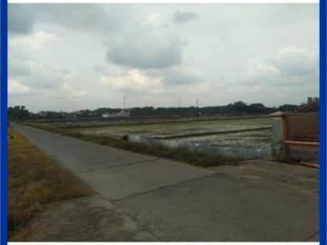Kavling Barat Zona Industri Grogol: Cocok Bangun Kos