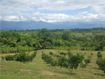 SE VENDE FINCA EN PUEBLO TAPAO