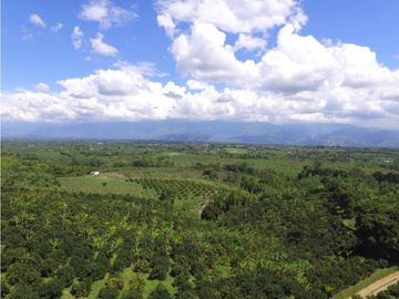 SE VENDE FINCA EN PUEBLO TAPAO