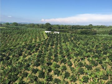 SE VENDE FINCA EN PUEBLO TAPAO