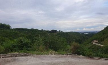 Overlooking 195 Sqm Residential Lot for Sale in Vista Verde Consolacion Cebu with Mountain Views