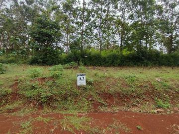 TANAH SIAP BANGUN DI NGADIROJO KIDUL WONOGIRI