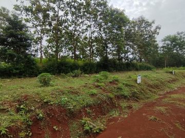 TANAH SIAP BANGUN DI NGADIROJO KIDUL WONOGIRI