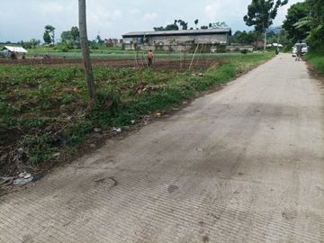 Tangkap Peluang Beli Tanah Cangkuang 1,6 Jt/m2