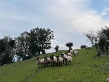 Casa en Venta en sector Tapihue