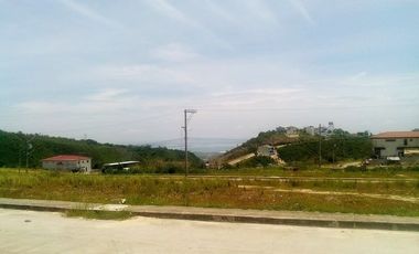 328 Sqm Residential Lot for Sale in Vista Grande Talisay Cebu City