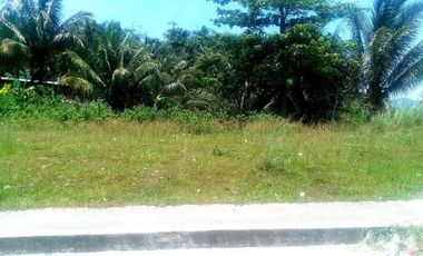 328 Sqm Residential Lot for Sale in Vista Grande Talisay Cebu City