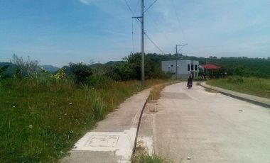 328 Sqm Residential Lot for Sale in Vista Grande Talisay Cebu City