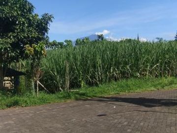 Rumah Baru, Cantik, Bersih Terawat Dibawah 500jt