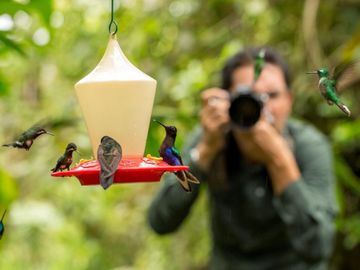 OPORTUNIDAD REMATE MINDO para Inversionistas, ideal para proyecto turístico, cerca Mashpi Lodge