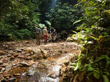 OPORTUNIDAD REMATE MINDO para Inversionistas, ideal para proyecto turístico, cerca Mashpi Lodge