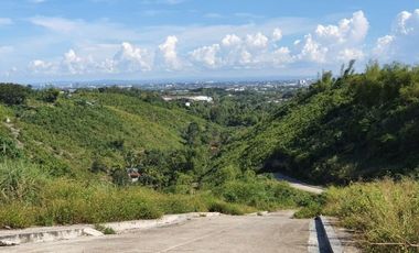 Overlooking 208 Sqm Residential Lot Only for Sale in Vista Verde Consolacion Cebu with City Views